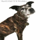 Buscar tejido mascotas Negro