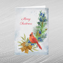 Buscar enebro tarjetas Cardenal
