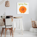Buscar gerbera blanco General y unisex