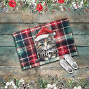 Buscar cat felpudos Gatito