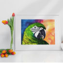 Buscar loros verdes posters Pájaros
