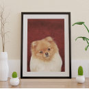 Buscar pomerania posters Razas de perros