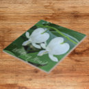 Buscar corazones sangrantes azulejos Floral