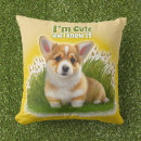 Buscar corgi cojines Moderno