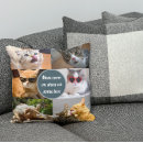 Buscar gato persa cojines 9 º gata