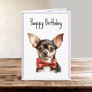 Buscar pipa Cumpleaños feliz