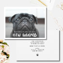 Buscar foto del perro invitaciones Nuevo hogar