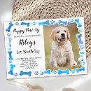 Buscar huesos de perro invitaciones Para todos