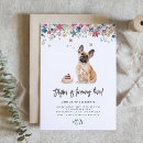 Buscar frenchie invitaciones Perro