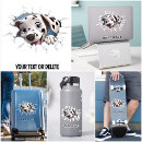 Buscar dalmata pegatinas De perro