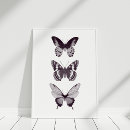 Buscar botones arte Ilustracion