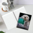 Buscar nueces cuadernos General y unisex