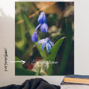 Buscar gloria posters Floral