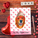 Buscar golden retriever postales Humor