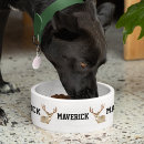 Buscar cuernos mascotas Perro