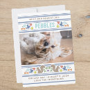 Buscar huesos de perro postales Perros