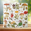 Buscar hongos azulejos Bosque otoñal