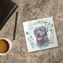 Buscar perro negro azulejos Recuperador de labrador