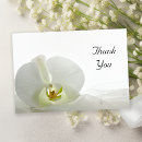 Buscar phalaenopsis tarjetas Elegante