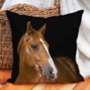 Buscar caballos hermosos cojines General y unisex