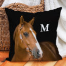 Buscar el caballo cojines General y unisex