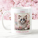 Buscar gato del ragdoll tazas Para ella