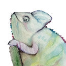 Buscar camaleón relojes de pared Lagarto