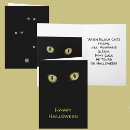 Buscar gato fotograficas tarjetas Para todos