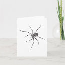 Buscar arañas tarjetas Araña negra