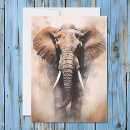 Buscar safari africano tarjetas Salvaje