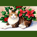 Buscar gatos lindos cojines General y unisex