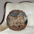 Buscar yorkies cojines General y unisex
