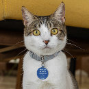 Buscar placas para gatos Humor