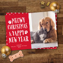 Buscar nuevo perro tarjetas Foto