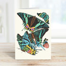 Buscar seguy Insectos