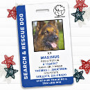 Buscar perro de la búsqueda Búsqueda y rescate