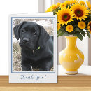 Buscar perro negro tarjetas Cachorro