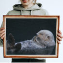 Buscar animales marinos posters Nutria marina