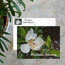 Buscar flor magnolia postales General y unisex