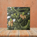 Buscar rompecabezas azulejos General y unisex