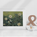 Buscar rosas salvajes posters Naturaleza