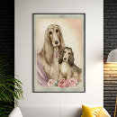 Buscar perro afgano posters Para ella