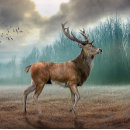 Buscar ciervos chapas Para él