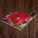 Buscar bloom azulejos Floral