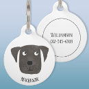 Buscar raza collares Para mascotas