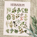 Buscar plantas verdes postales Naturaleza