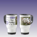 Buscar gato gris y blanco tazas 9 º gata