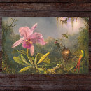 Buscar colibri papel de seda Martin johnson heade