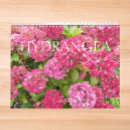 Buscar hydrangeas fotografía General y unisex