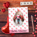 Buscar saint bernard postales Divertido